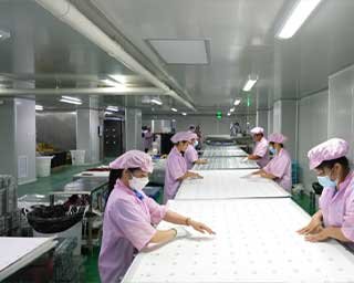 guangdong gupinxin technology