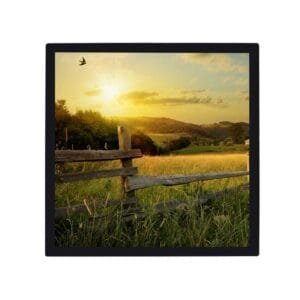 indoor digital menu board